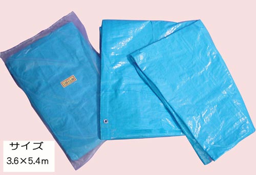 ブルーシート