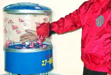 ｍｉｎｉエアー抽選器舞２（マイマイ）