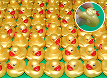 プカプカあひるゴールド