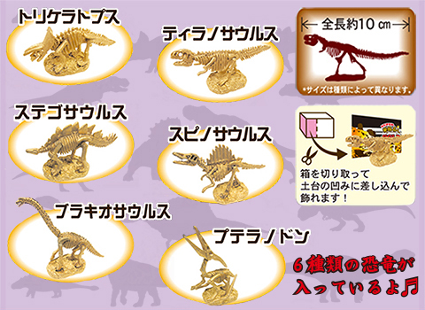 恐竜発掘キット作り/手作りキット