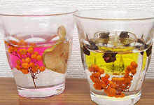 ボタニカルキャンドル作り