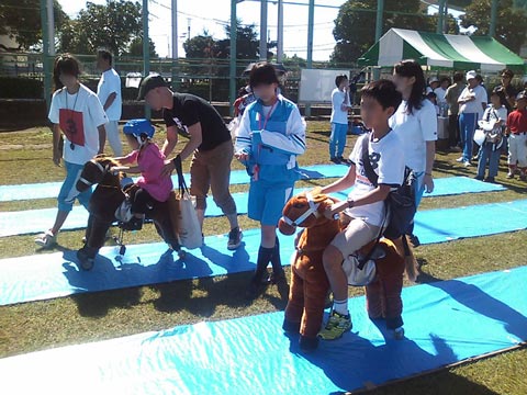 ぱかぱかレーシングホース｜現場施工例