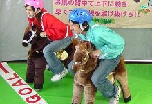 ぱかぱかレーシングホース